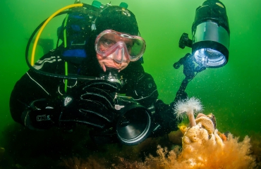 Het DuikeninBeeld-team voor ONK Onderwaterfotografie zoekt jou!