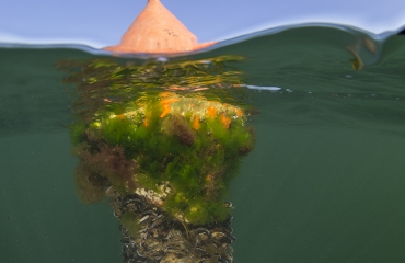 René Weterings - (O)NK onderwaterfotografie 2014, dag 1...!
