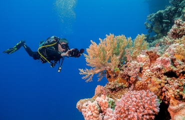 Meer kleur in je onderwaterfoto’s  –  5 tips