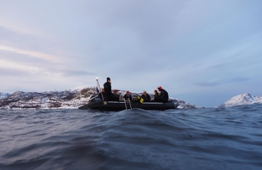 Mieke Noordanus - Bultruggen en orka's in Noorwegen