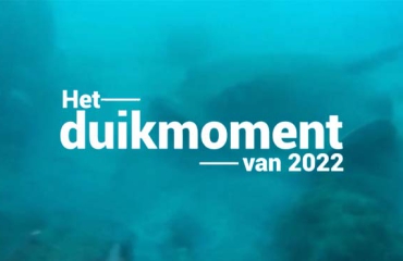 Hét duikmoment van 2022 - Rog bevrijd!