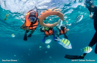 Tips voor snorkelen in Thailand