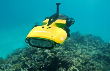 Australië zet onderwaterdrones in tegen doornenkroon