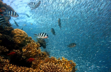 SummerLabb: wat is jouw scenario voor de oceanen?