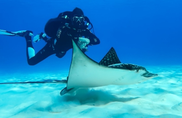 Join the Explorers met Wanderlust Dive Center op Bonaire