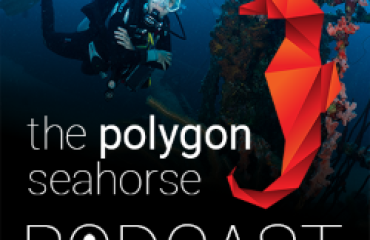 Geef je stem aan The Polygon Seahorse podcast!