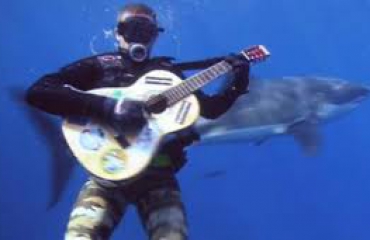 The Great White Shark Song