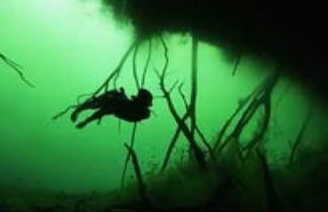 North Sea Film Festival: Freediven in een cenote