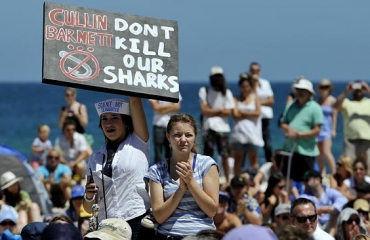Protest tegen doden haaien