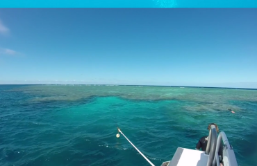 Suzy Wong - Going Pro on Agincourt Reef