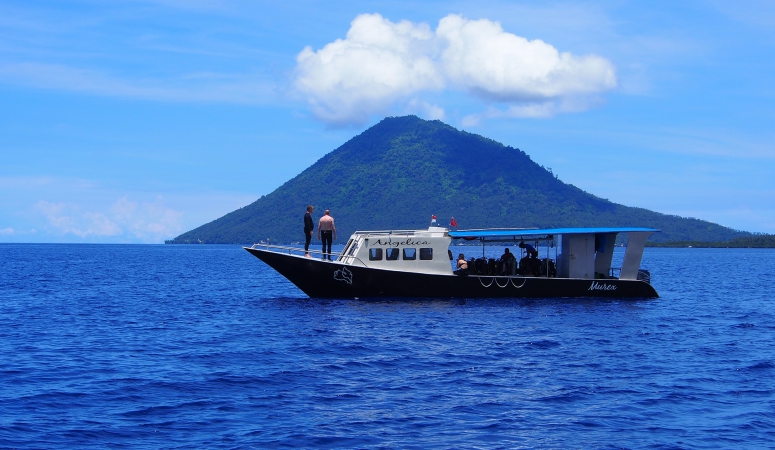 Handige tips voor duikers in Noord-Sulawesi