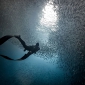 Duikmedisch webinar: freediving