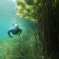 Landelijke DFA-dag - een dag vol freediving