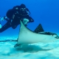 Join the Explorers met Wanderlust Dive Center op Bonaire